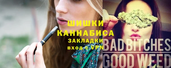 СК Михайлов