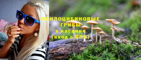 СК Михайлов