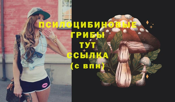 СК Михайлов