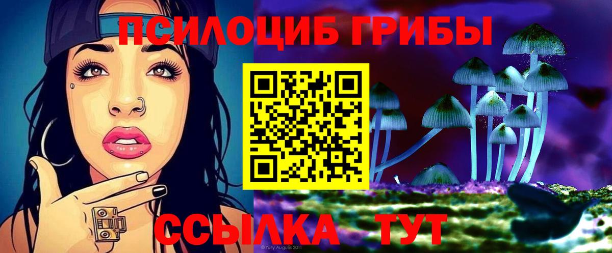 Галлюциногенные грибы MAGIC MUSHROOMS  Вход с VPN  Черногорск  Псилоцибиновые грибы прущие грибы 