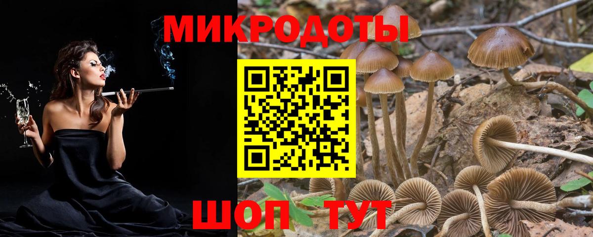 Галлюциногенные грибы Magic Shrooms Черногорск